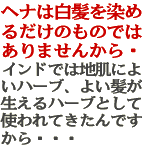 ヘナは白髪を染めるだけ、のものではありません。インドでは地肌によいハーブ、よい髪が生えるハーブとして使われてきたんですから・・