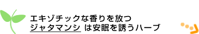 �G�L�]�`�b�N�ȍ������� 
�W���^�}���V �͈�����U���n�[�u