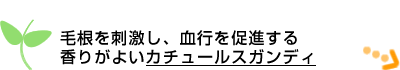 �э����h�����A���s�𑣐i���鍁�肪�悢�J�`���[���X�K���f�B