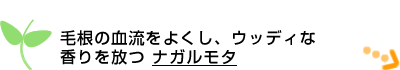 �э��̌������悭���A�E�b�f�B�ȍ������� �i�K�����^