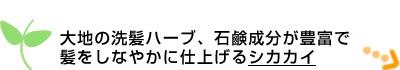 ��n�̐����n�[�u�A�Ό��������L�x�Ŕ������Ȃ₩�Ɏd�グ��V�J�J�C