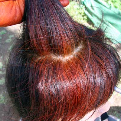 �S���s�g�p�ŁA�g���ŗn������������ŁA���������g�p���Ȃ��ƁE�E�E