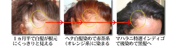 ヘナ白髪染め→インディゴ(木藍)後染めは、初回から白髪もがっちりと暗めに染まることが多い。ただし二行程のため手間がかかる。
