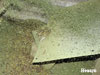  ����Ǝ�ɂ��邱�Ƃ��ł����ō��̃C���f�B�S�t�A2012�N�Y