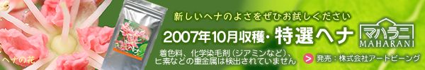  2007.10���ϡ������إ�