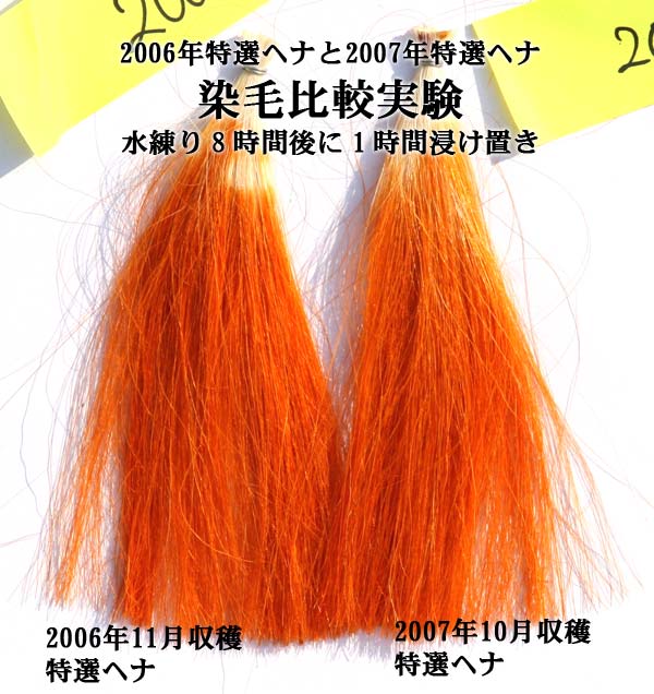 2007�N10�����n�E���I�w�i�ƁA2006�N11�����n�E���I�w�i�̐��є�r����
