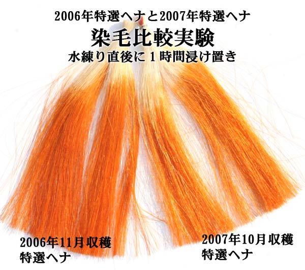 2007�N10�����n�E���I�w�i�ƁA2006�N11�����n�E���I�w�i�̐��є�r����