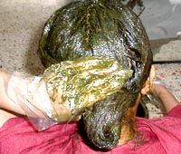 �������̐l�͂������ăw�i��h���Ă���