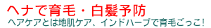 �w�i�ň�є����\�h�E�E�E�C���h�n�[�u�ň�т�����