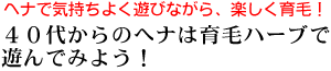 �C���h�����̃w�i����p��������n�P�Ńw�i���X�C�X�C�X�C�I