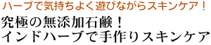 �J�W�����̓w�i�ɂ悭�������E�E����J�W�����I