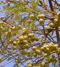 �A����
