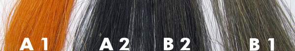 ヘナ白髪染め→インディゴの後染めとヘナ＋インディゴ３７の染毛比較実験