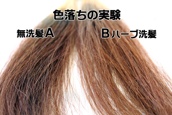 ヘナ＋インディゴ５の色落ちの実験・ハーブ洗髪１２回の結果