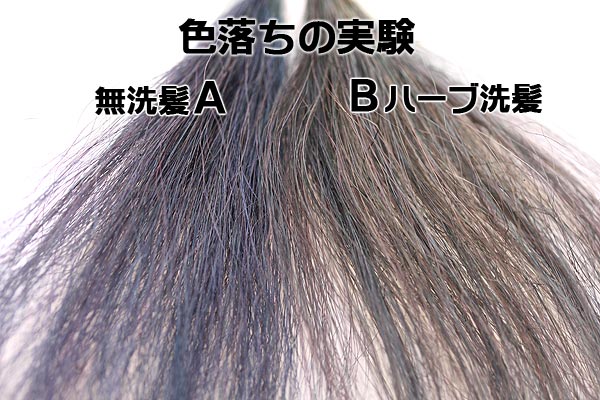 インディゴカラーの色落ちの実験・ハーブ洗髪１２回の結果