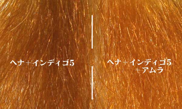 実験第10弾！ヘナ＋インディゴ(木藍)に、＋アムラで、即練り１時間の染毛実験