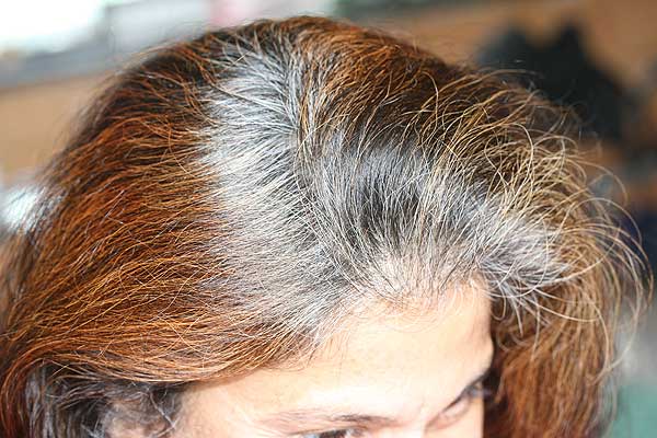 ハーバルヘアカラー（旧ヘナ＋インディゴ）４・５の白髪染めは重ねていくとブラウン/ダークブラウン系へ