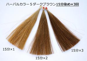 早染め15分!ハーバルカラー5ダークブラウンの場合