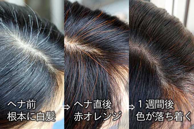 ナで美しく髪をブラウン系に仕上げる方法