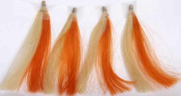 ヘナ染めでオレンジ色に染まった白髪束を４本用意