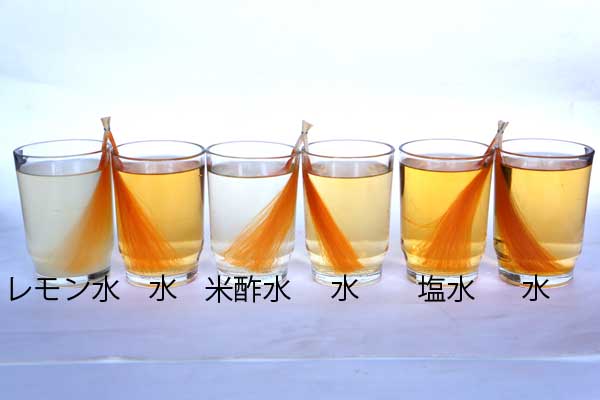 レモン水、米酢水、塩水に浸け置き、色落ち実験