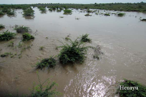 ソジャットのシュクリナディ川の氾濫