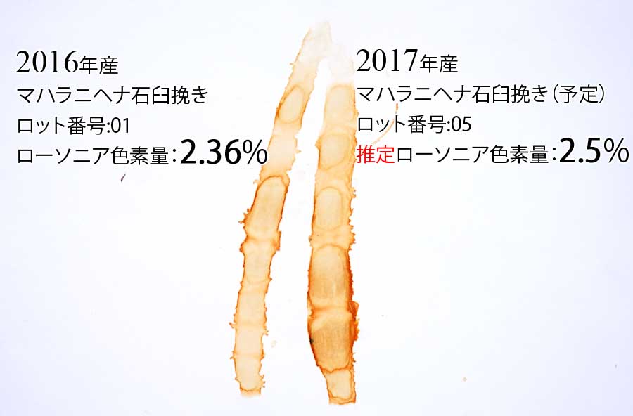 2016年産2017年産のマハラニヘナ石臼挽きの染毛力比較