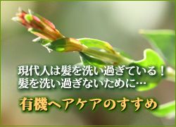 ハーブでシャンプー 洗髪回数がなかなか減らない